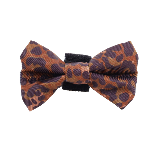 Leopard: Cat Bow Tie
