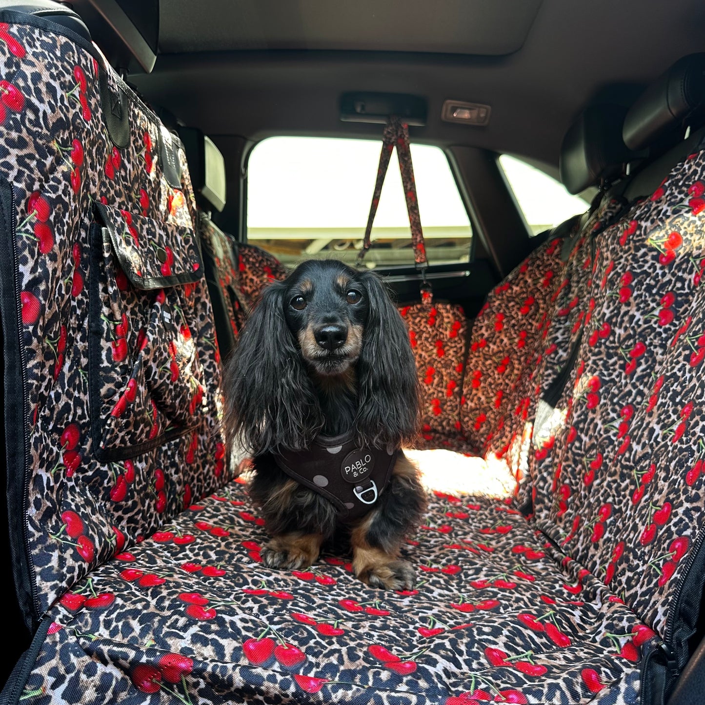 Leopard Cherries: Deluxe Hard Base Hammock Car Seat Cover