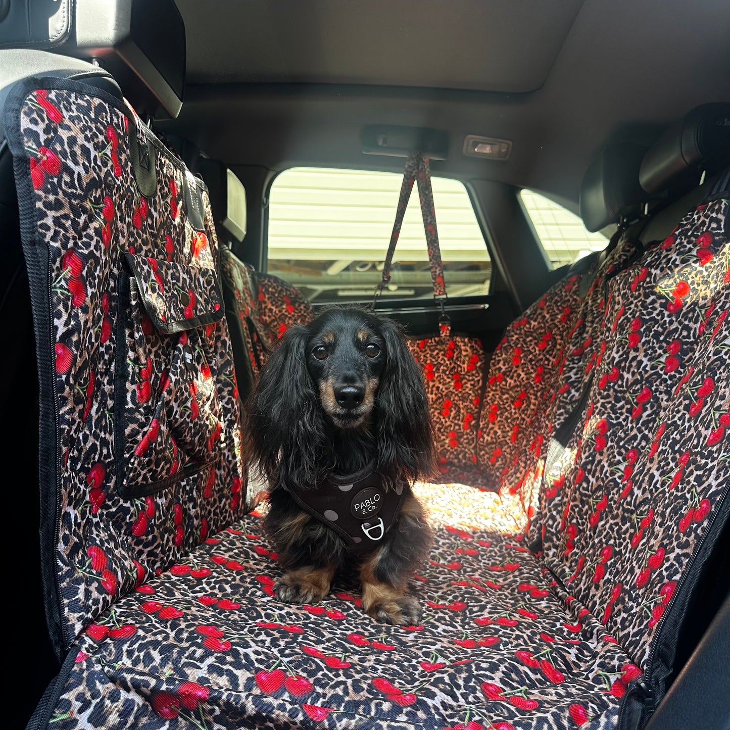 Leopard Cherries: Deluxe Hard Base Hammock Car Seat Cover