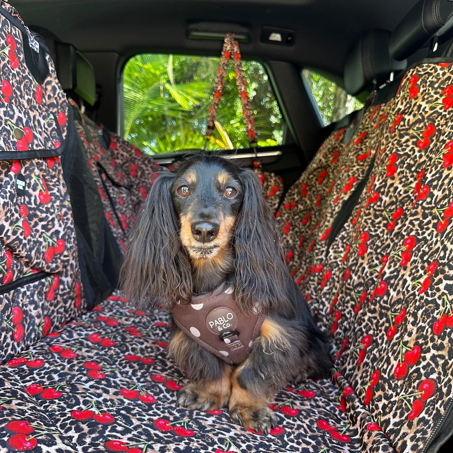 Leopard Cherries: Deluxe Hard Base Hammock Car Seat Cover