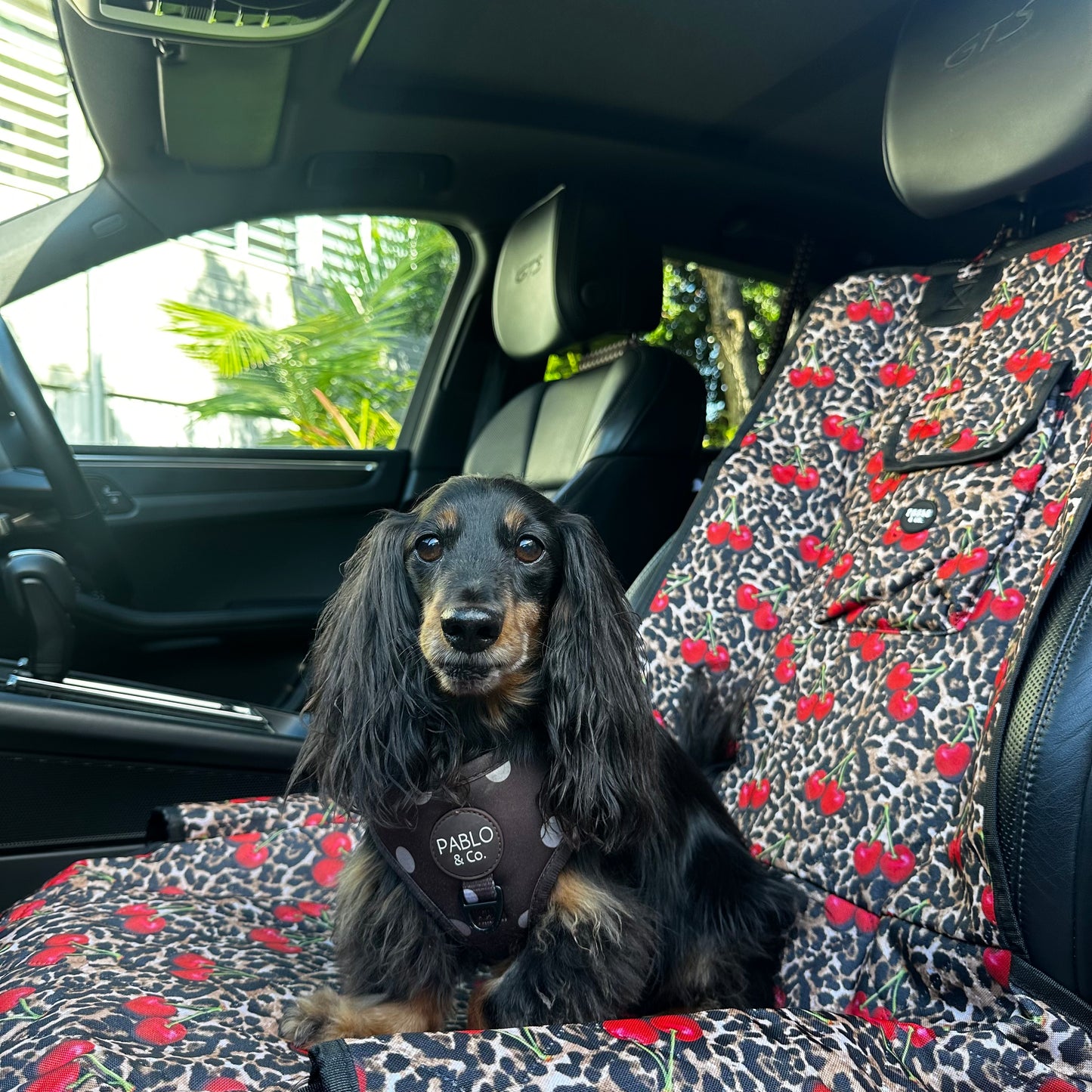 Leopard Cherries: Deluxe Single Car Seat Cover