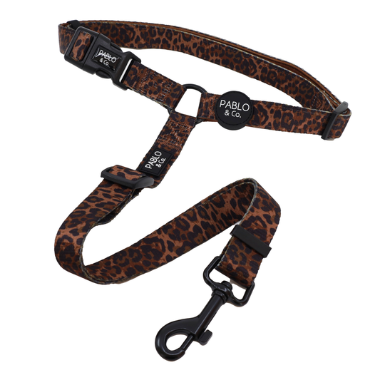 Leopard: Headrest Car Restraint