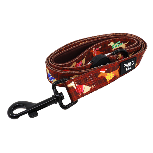 Merry Little Dachshunds: Dog Leash