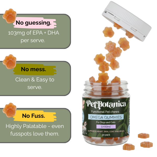 Pet Botanica: Omega Gummies - Sardine