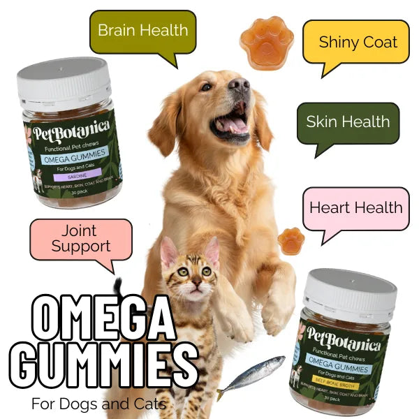 Pet Botanica: Omega Gummies - Sardine