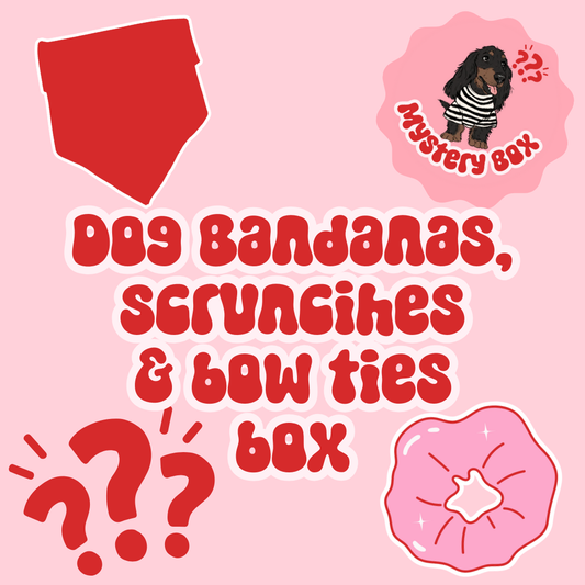 Dog Bandana, Bow Tie & Scrunchie Mystery Bag