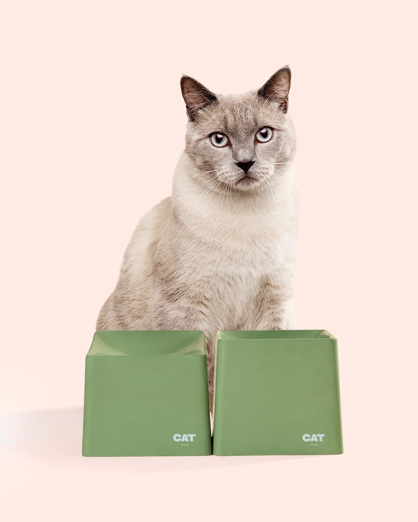 CAT Corner Bowl Set -  Olive