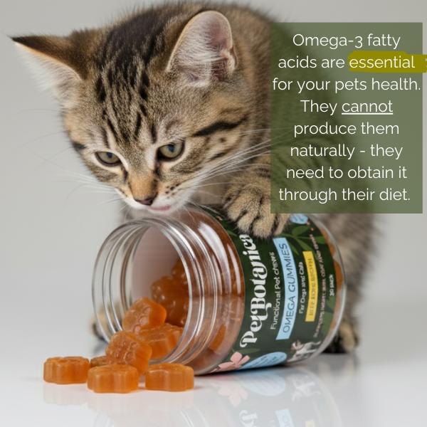 Pet Botanica: Omega Gummies - Sardine