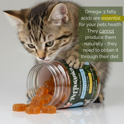 Pet Botanica: Omega Gummies - Sardine