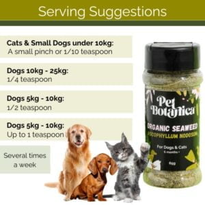 Pet Botanica: Organic Seaweed Meal Topper