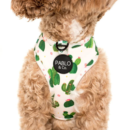Cactus: Adjustable Harness