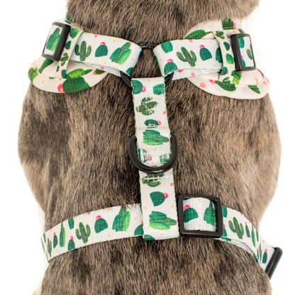Cactus: Adjustable Harness