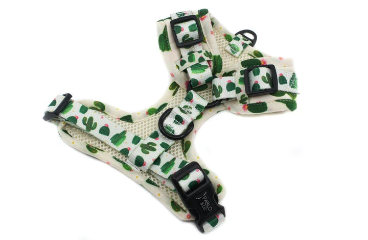 Cactus: Adjustable Harness