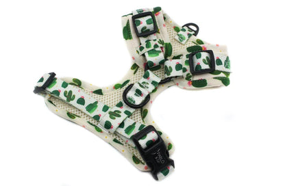 Cactus: Adjustable Harness