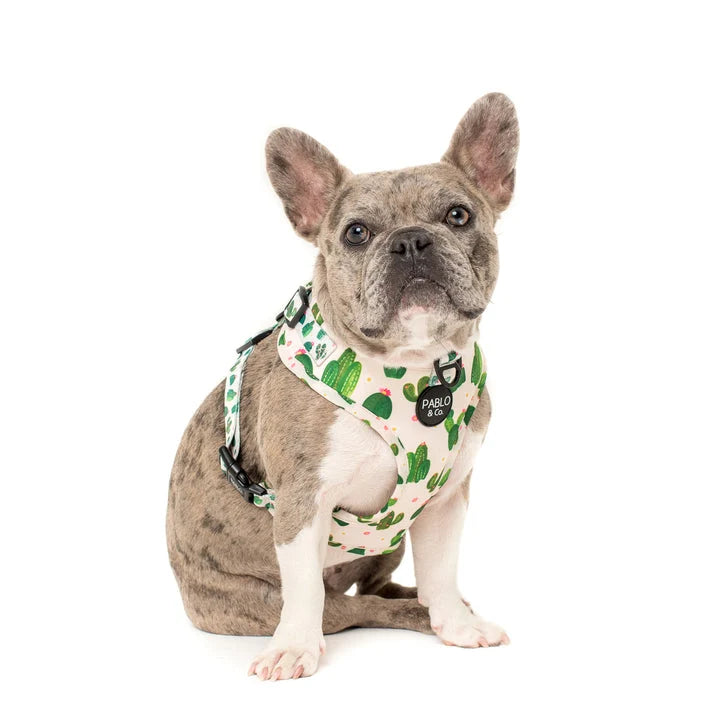 Cactus: Adjustable Harness