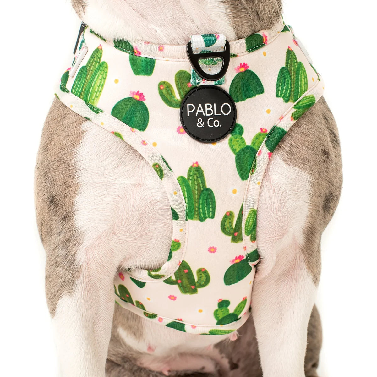 Cactus: Adjustable Harness