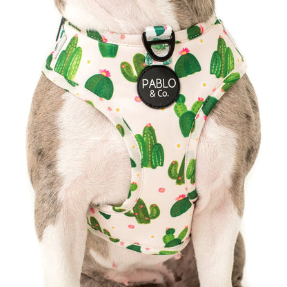 Cactus: Adjustable Harness