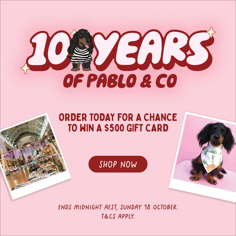 Mobile Banner Image