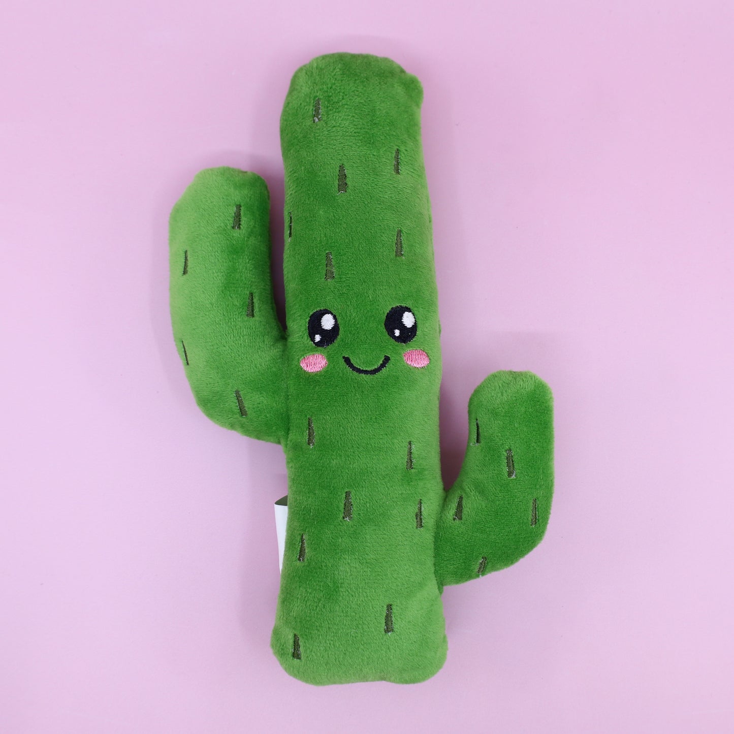 Cactus Dog Toy