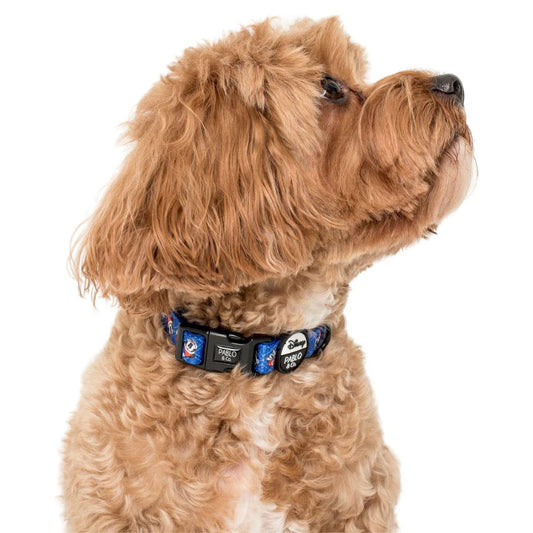 Mickey's Magical Christmas: Collar