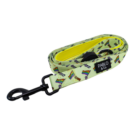 Love is Love: Dog Leash