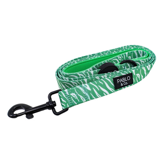 Green Zebra: Dog Leash