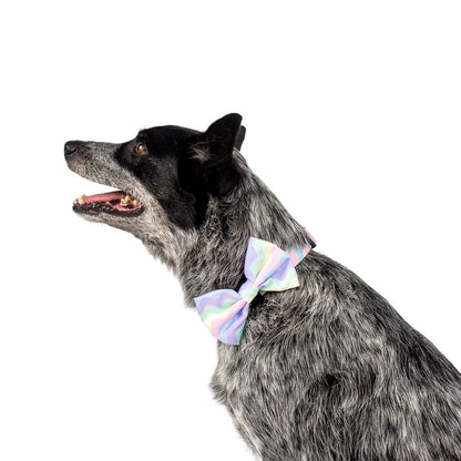 Pastel Swirls: Bow Tie