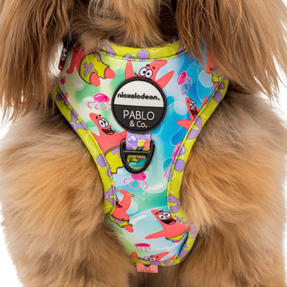 Patrick: Adjustable Harness