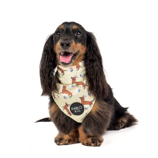 The Easter Dachshund - Bandana