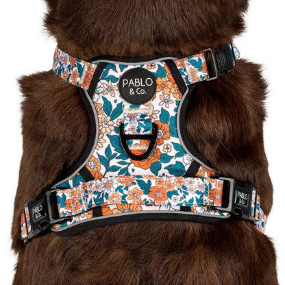 Wildflowers: No Pull Adventure Harness