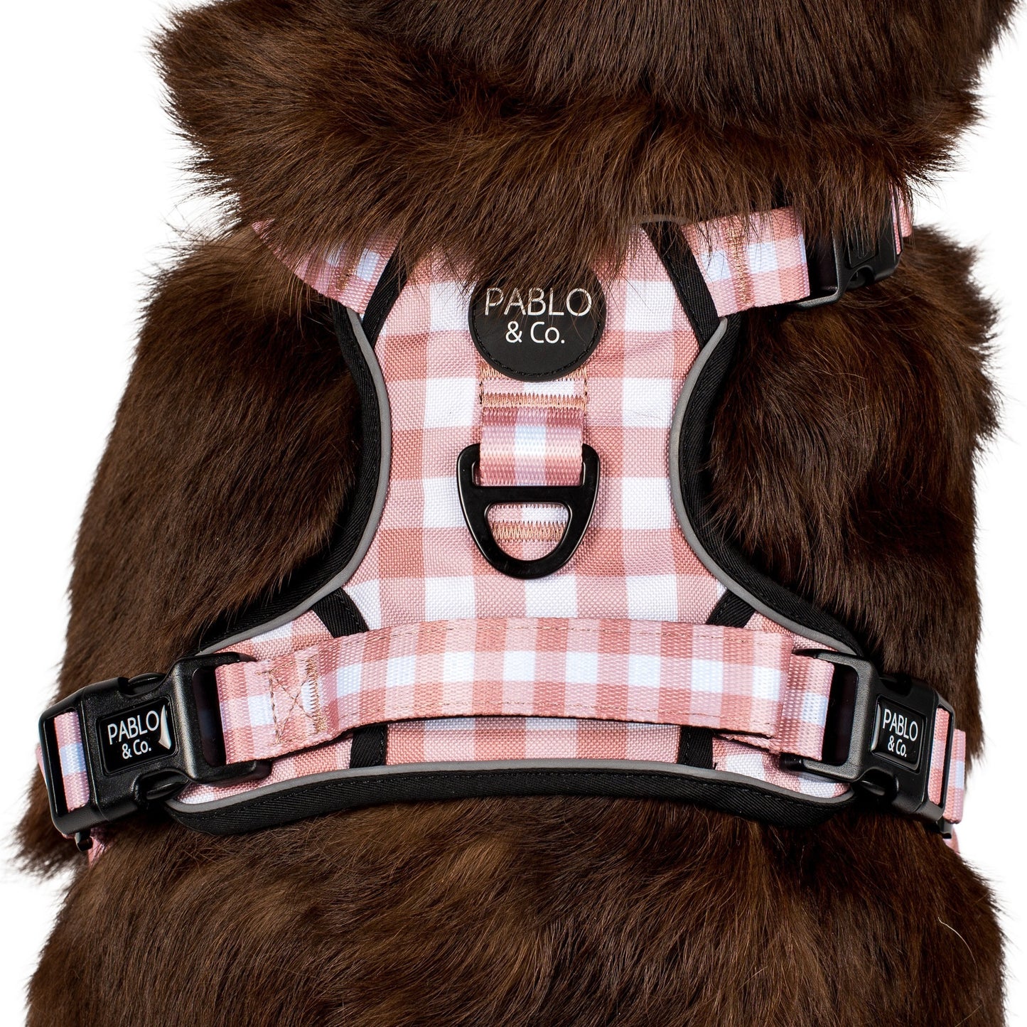 Chocolate Gingham: No Pull Adventure Harness