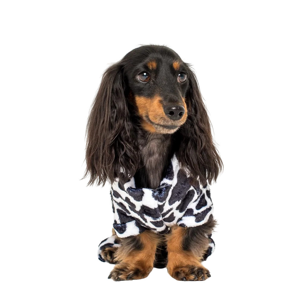 Moo Moo: Onesie