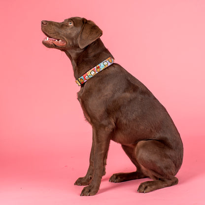 As Sweet as Garfield: Dog Collar