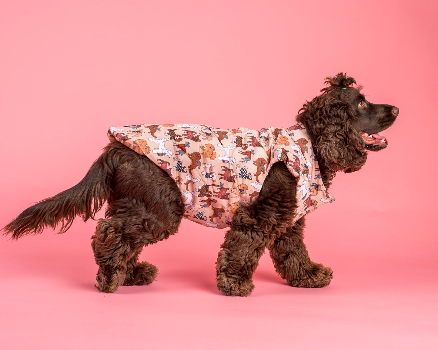 Winter Pooches / Kensington: Reversible Puffer Vest