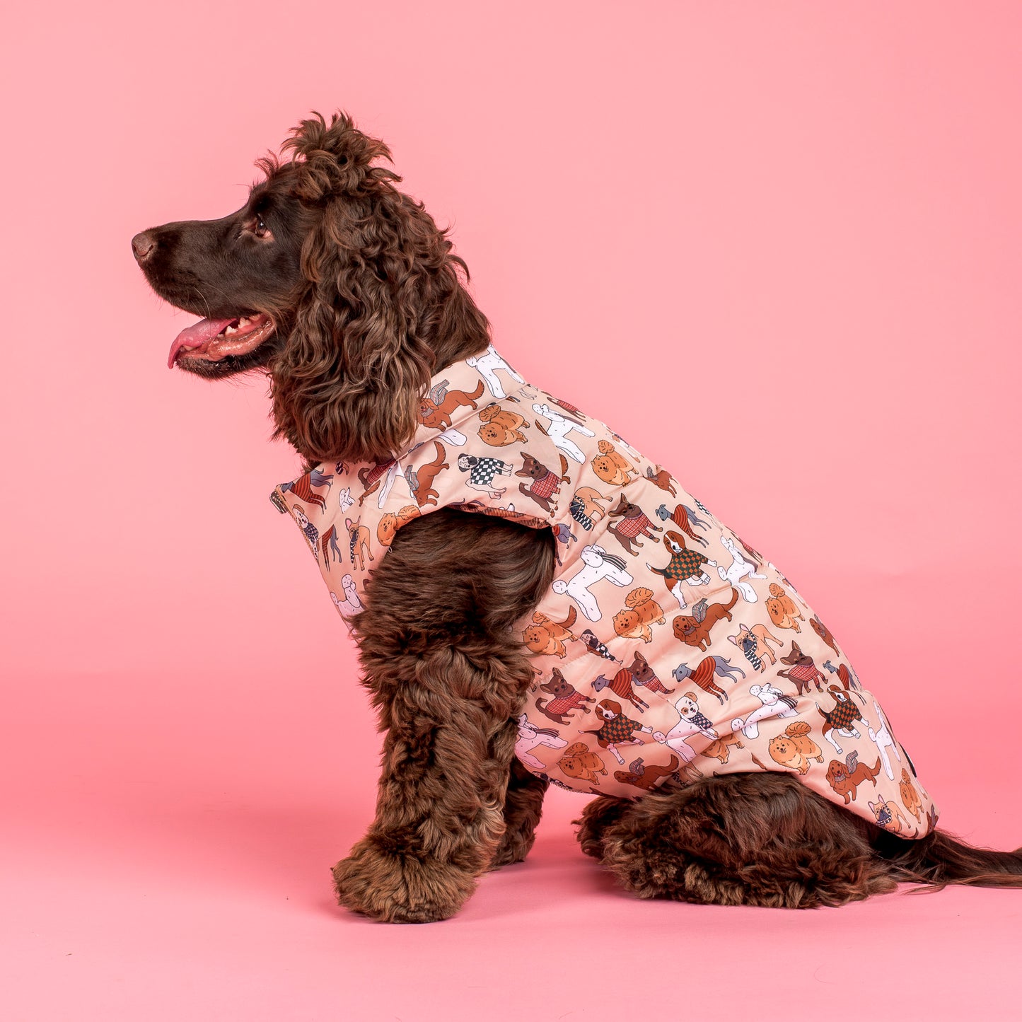 Winter Pooches / Kensington: Reversible Puffer Vest