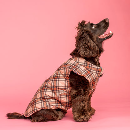 Winter Pooches / Kensington: Reversible Puffer Vest