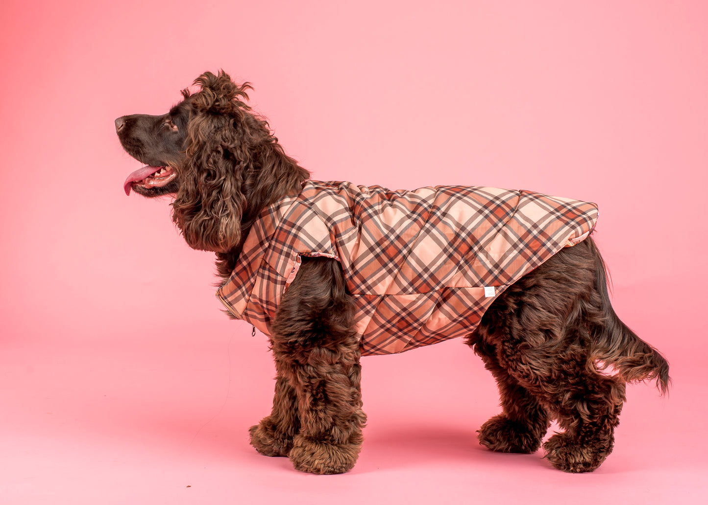 Winter Pooches / Kensington: Reversible Puffer Vest