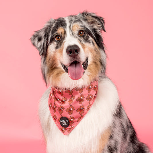 Teddies - Dog Bandana