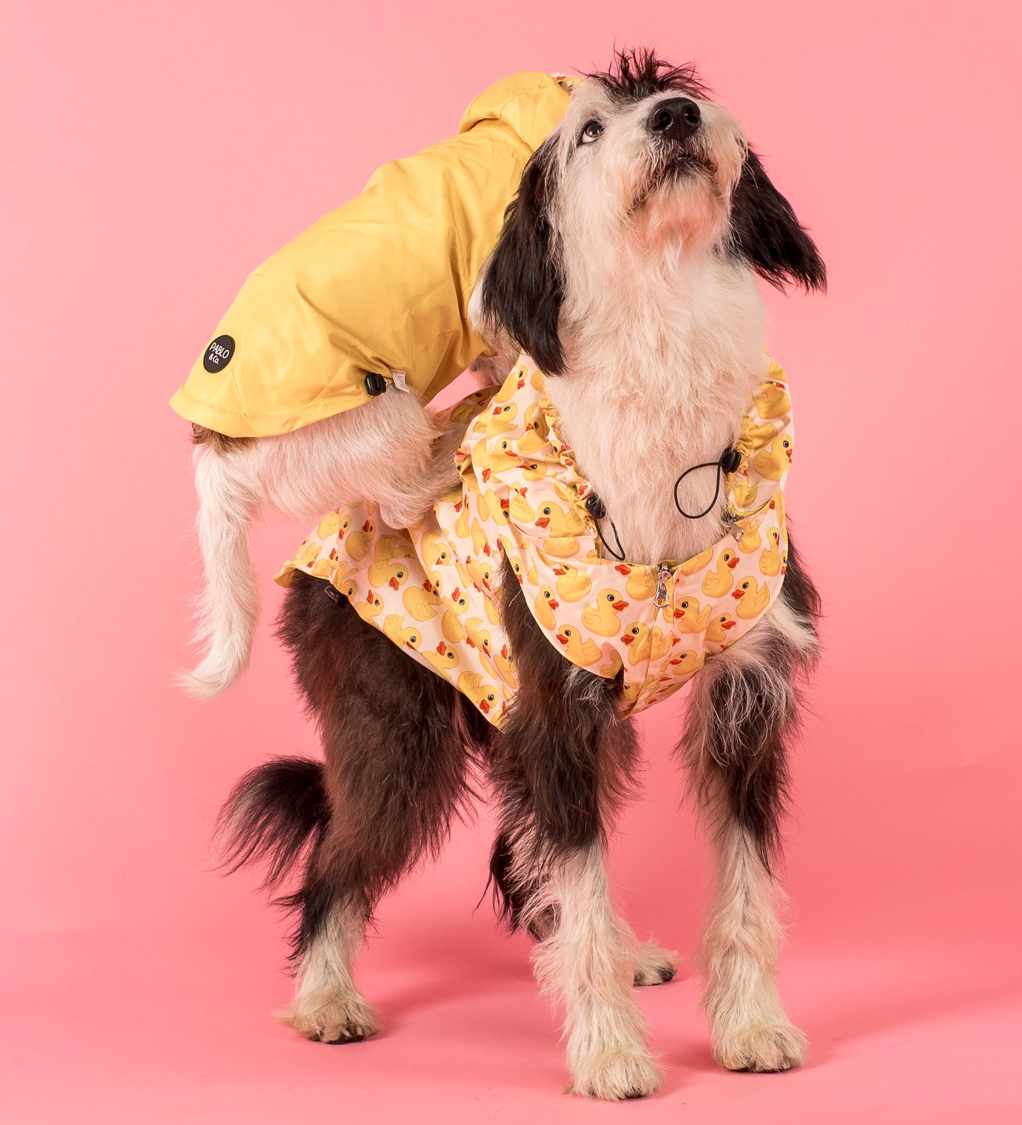 Rubber Ducky: Raincoat