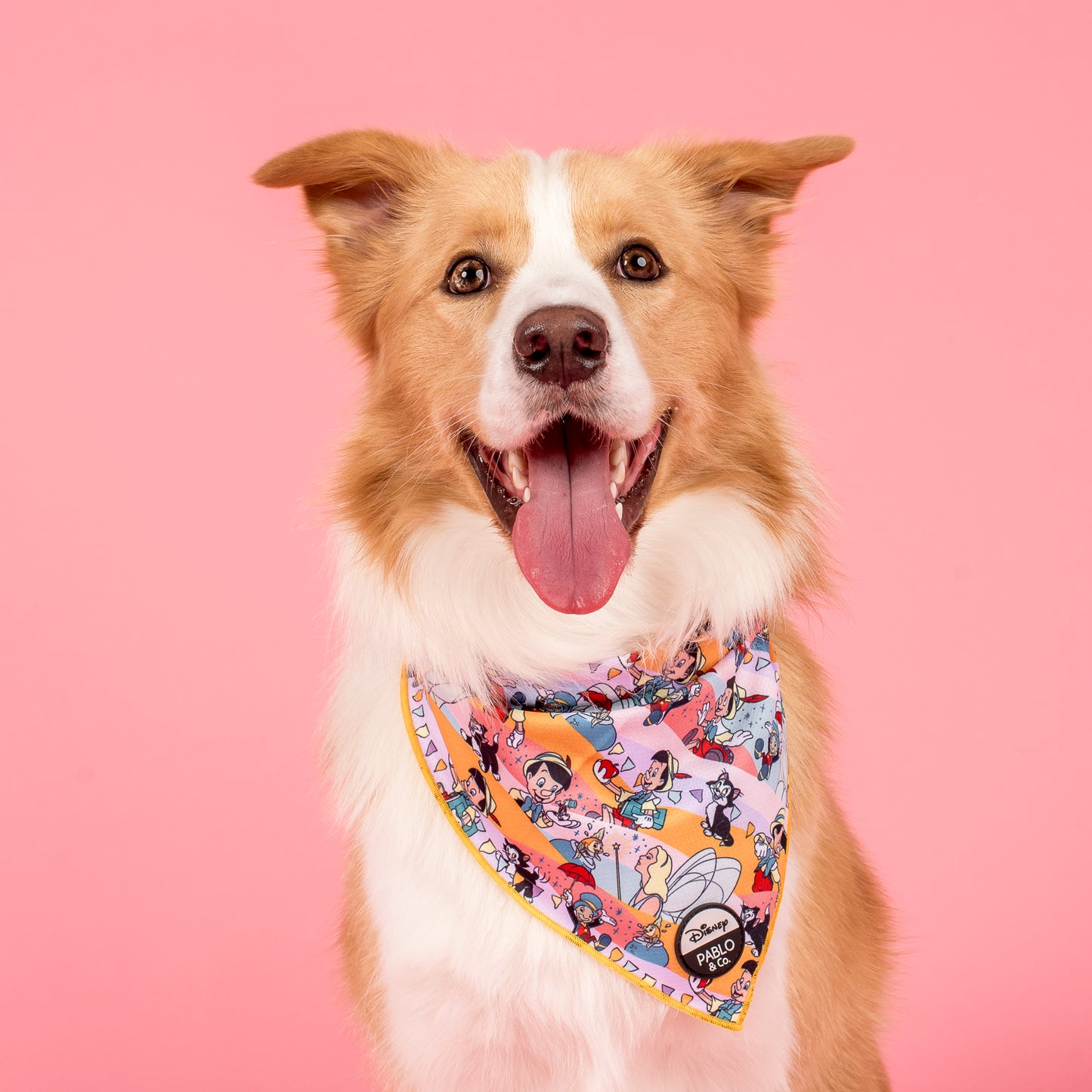 Pinocchio: Dog Bandana