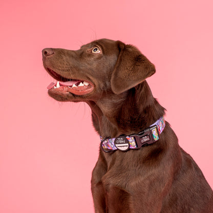 Nick 90's: Dog Collar