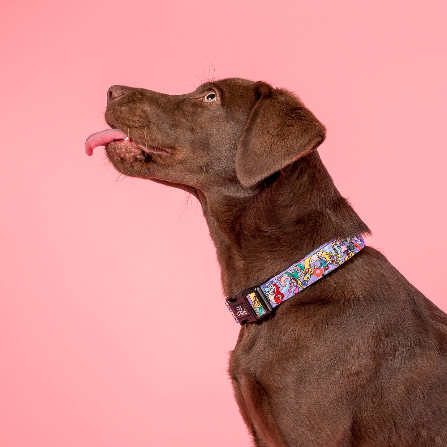 Nick 90's: Dog Collar