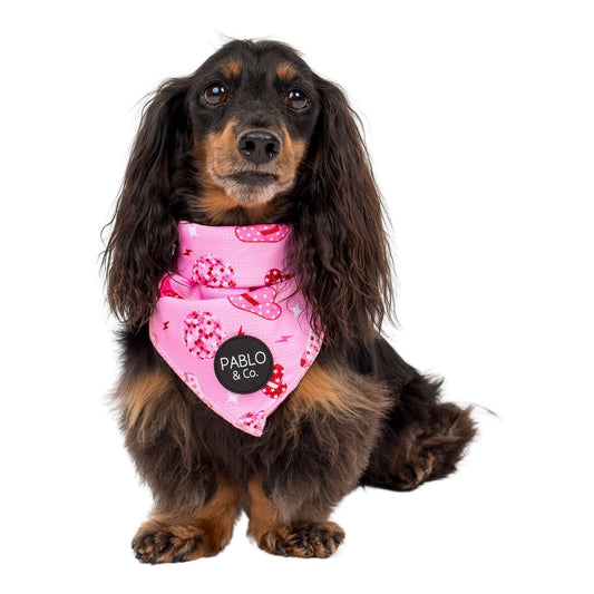 Disco Cowgirl - Dog Bandana