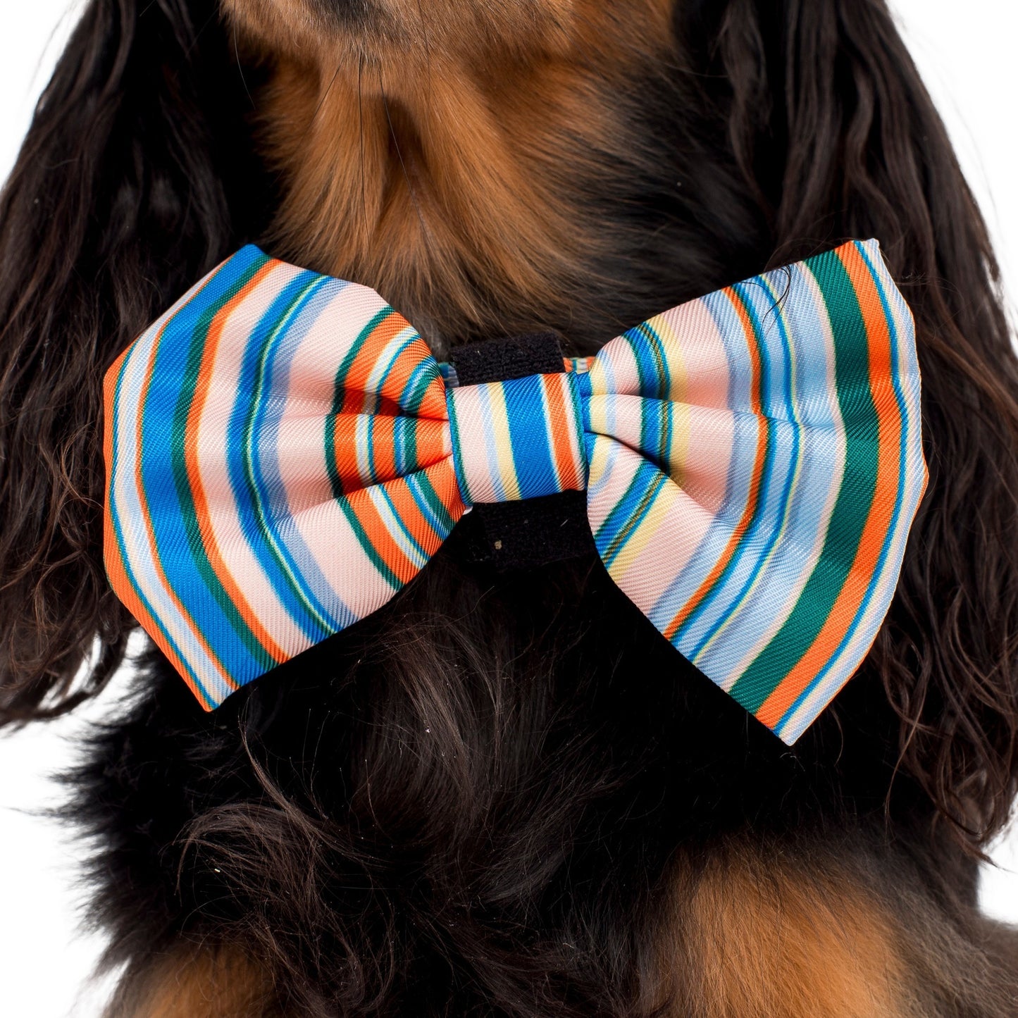 The Cabana: Bow Tie