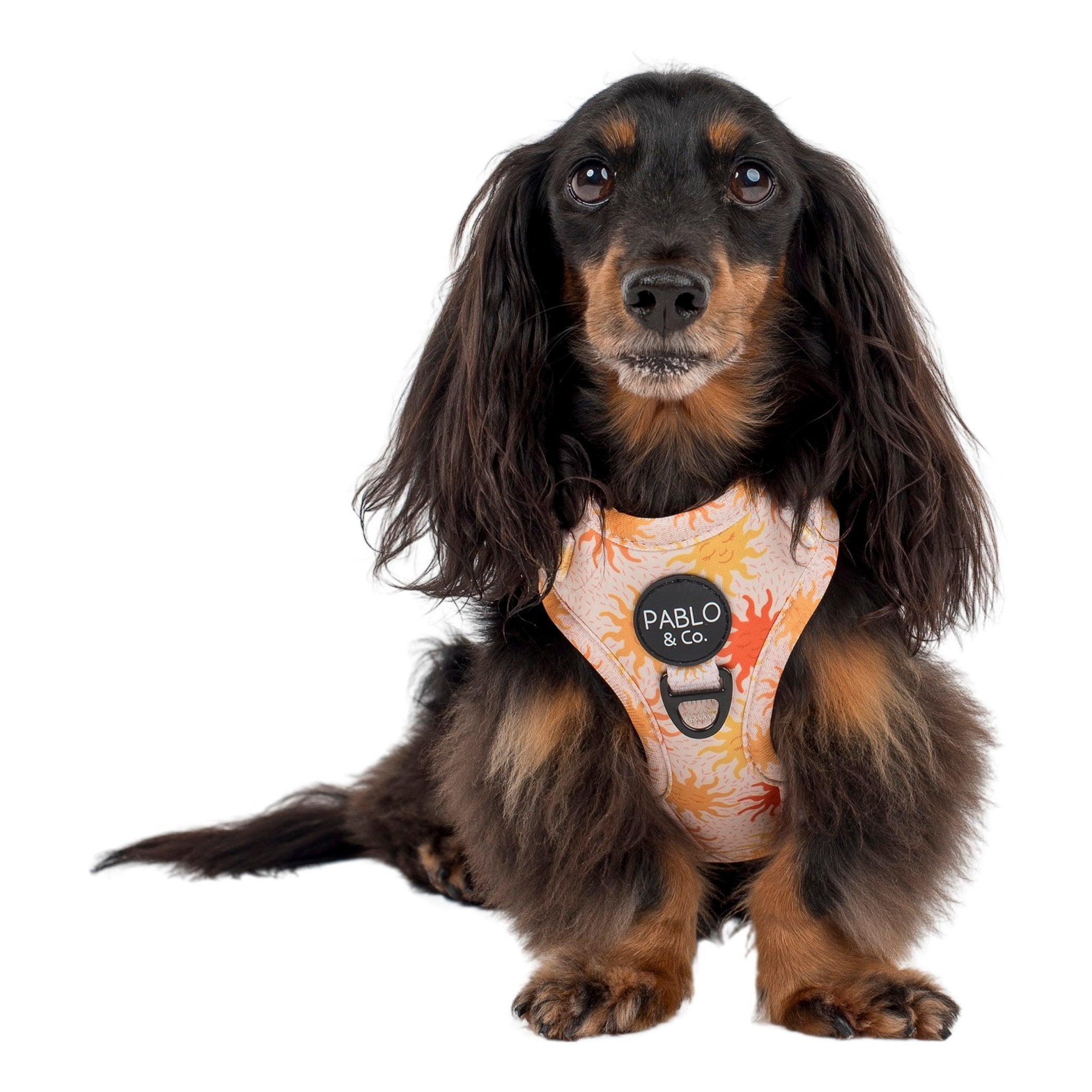 Ray of Sunshine: Adjustable Harness – Pablo & Co. Boutique