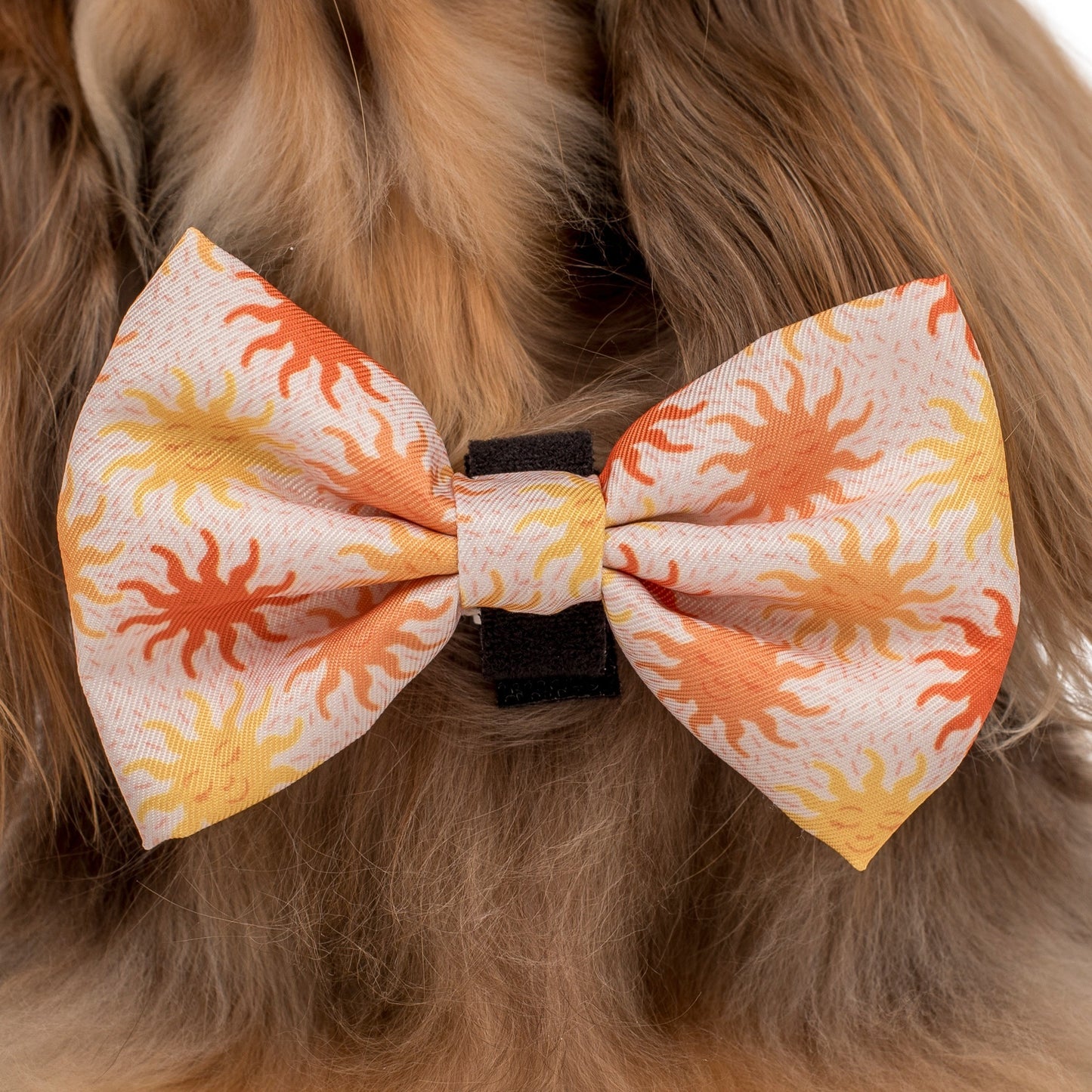 Ray of Sunshine: Bow Tie