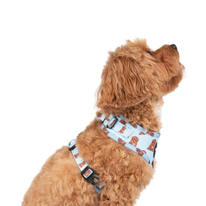 Cavoodle: Adjustable Harness