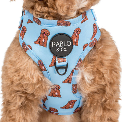 Cavoodle: Adjustable Harness