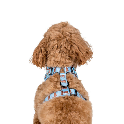 Cavoodle: Adjustable Harness