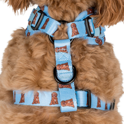 Cavoodle: Adjustable Harness